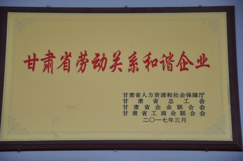 甘肅省勞動關(guān)系和諧企業(yè).JPG